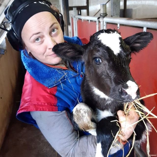 Heidi Hiitiö ja Elli Tuominen toimivat yhteistyössä Jenni Uusitalon lypsykarjatilan eläinlääkäreinä.